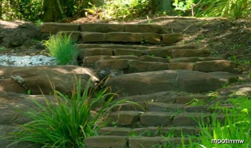 只有種植月季 繡球才算是花園嗎 詳解國(guó)外園藝師打造巖石花園