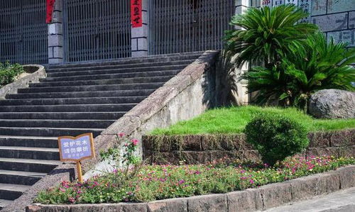 縉云縣 微改造 精提升 大量曬 前路鄉(xiāng)水口村建花園鄉(xiāng)村精品村