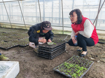 北屏:開展夏季蔬菜種植及育苗管護適用技術培訓