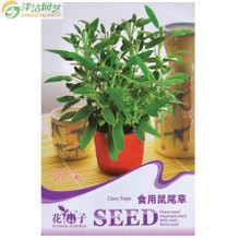 【食用鼠尾草】最新最全食用鼠尾草 產(chǎn)品參考信息